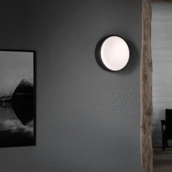 Northern Over Me 30 Ceiling Lamp/Wall Lamp Dark Grey Ø30 Cm -Teddyssmith shop Northern Lighting OverMe vaeglampe og Loftlampe Morke Graa p 1