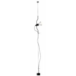Flos Parentesi D Floor Lamp Black