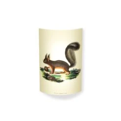 MagicoClaudio Moments Wall Lamp Squirrel