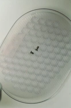 Flos Oplight W2 Wall Lamp Textured White 11 Flos Oplight W2 Wall Lamp Textured White -Teddyssmith shop oplight diffuser ph antonia adomako p