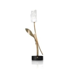 SLAMP Tulip Portable Lamp Transparent/ Black Base